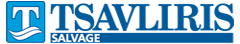  marine salvage, towage services, wreck removal | salvage and towage services